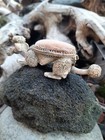Vintage Italian Florenza Pink Poodle Dog Sewing Pin Cushion Bobblehead Trembler
