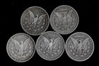 Five  5  Morgan Silver Dollars  1880-1891  90  Silver Lot D85-1
