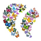  104pcs Butterfly Wall Decals For Wall-3d Butterflies Wall Stickers Butterfly 