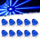 Blue Watermelon Led Light With Stainless Steel Bracket  10 Pcs Blue  10 Pcs 