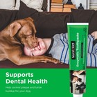 Nutri-vet Enzymatic Dog Toothpaste  Plaque 2 5 Ounce  pack Of 1   3 74-oz Bag 