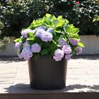 1 2 3 5 7  10 15  20 Gallon Nursery Pots Garden Plant Nutrition Pots Plastic
