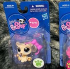      Lps New Hasbro Littlest Pet Shop Bear 2098 Rare Figure From 2010 Nip W bow