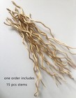 Dried Curly Willow Branches  15 Stems Dried Twigs Sticks 21-23    Natural Dr