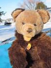 Vintage Steiff Teddy Bear Original Old Chest Tag Molly Bar Furry Cute German Toy