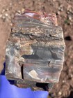 Rainbow Agate                        Petrified Wood Bark From Arizona  Gifts    