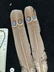Grey Peacock Pheasant  Double  Eye Tail Feathers   56