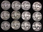 All 12 Nice Coins 1934 - 1938 P D S Buffalo Nickels 5c  Short Set  Free P h