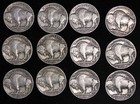 Short Set  All 12 Sharp Coins 1934 - 1938 P D S Buffalo Nickels 5c Free P h
