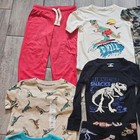 Toddler Boy Dinosaur Clothing Lot Of 23 Size 5t T-shirt Tank Pajama Swim Play