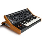Moog Subsequent 25 Compact 25-key 2-note Paraphonic Analog Synthesizer