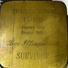 Rare California Disaster Brass Coin Token Plaque Tulare Lake Flood Survivor 1969