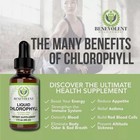 Chlorophyll Liquid Drops  4 Month Supply Liquid Chlorophyll Supplemen Usa