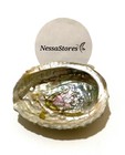 Pink Abalone Sea Shell One Side Polished Beach Craft 4  - 5   16 Pcs   jc-011