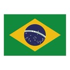 World Cup Brazil National Flag Small Handheld Flag