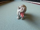 Safari Ltd 1996 Hippopotamus Baby Figure Water African Wildlife Hippo Toy