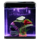 Betta Fish Tank Self Cleaning Glass 2 Gallon Small Nano
