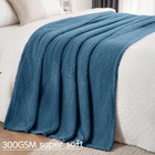 Blue Soft Fleece 300gsm Queen Blanket Cozy Flannel Plush Bed 90x90 Inch
