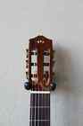 Brand New Cordoba F7 Paco Flamenco Negra Guitar With Gig Bag