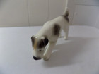 Early 1900s Jack Russell Terrier 5 3 4 Inch Ceramic Figurine
