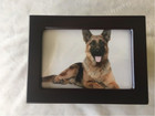 Pet Urn Peaceful Pet Memorial Keepsake Urn photo Box Pet Cremation Urn dog Urn c