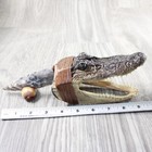 Alligator Head Handle Stone Blade Ornamental Knife  2855    Mountain Man Knife