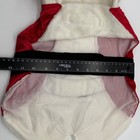 Dickens  Closet Holiday Santa Claus Costume Pet Dog Medium Suit