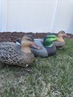Greenhead Gear Avery Outdoors Standard Mallard Drake Decoy Ducks  set Of 5 