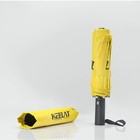 Automatic Folding Umbrella Windproof Heavy Duty 12 Ribs Uv Protection Portable
