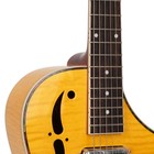 Gold Tone Mojo  Round-neck Resonator Guitar With Pickup And Case