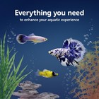 Starter Kit 20 Gallon Smart Clean Led Lighting Aqueon Aquarium Filtration Fish
