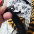 Animal Costume Ears Set  Tiger Stripe Ears   Tail  Polka Dot Bow Headband