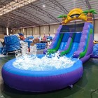 Commercial Inflatable Bounce House Dual Water Slide W  Big Pool For Adult Kids