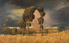 Summer Rain In The Bushveld By Jacobus Hendrik Pierneef Quality Print - Frame Me