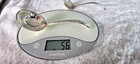 Towle Candlelight 1934 Sterling Silver Solid Gravy Ladle 6 3 4  No Mono 54g 