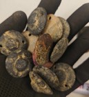 2 5 Cm 15 Set Hongshan Culture Fengshui Old Jade Ufo Collection Amulet Pendant