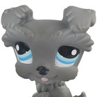 Lps  1393 Schnautzer Dog Littlest Pet Shop 2008 Authentic Grey Gen 3 Blue Eyes