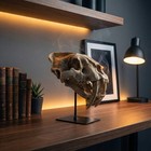 Saber Tooth Cat Skull Replica On Black Display Stand For Desk And Shelf Decor