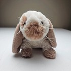 Ganz Webkinz Holland Lop Bunny Hm632 No Code