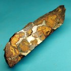Sericho Pallasite Meteorite Specimen From Kenya