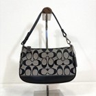Coach Signature Demi Mini Pouch Bag Canvas Leather Black 6094