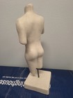 Vintage Anatomical Display