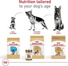Royal Canin Breed Health Nutrition German Shepherd Adult 5  Dry Dog Food  28lb