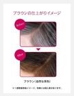 Shiseido Prior Color Conditioner N Brown 230g   3 Hair Care Treatment Japan