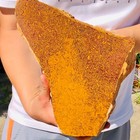 11 61lb  Natural Coquina Jasper Lapidary  Rough Slab Display Collectibles