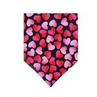 2 Pack s Day Dog Bandana Reversible Triangle Bibs Scarf Large Valentine