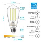 64 Pack Vintage Edison Led Light Bulbs  Dimmable  60w Equivalent  E26 Medium    