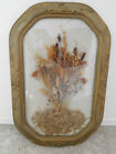 23x15  Antique Gesso Wood Convex Glass Picture Frame Dry Flower Cattails Vintage