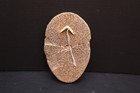Native Inuit Mask Fossilized Buffalo Bone Carved Eskimo Northwest Coast Vtg-