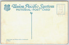 Vintage Postcard - Multnomah Falls - Columbia River Hwy Near Portland Oregon